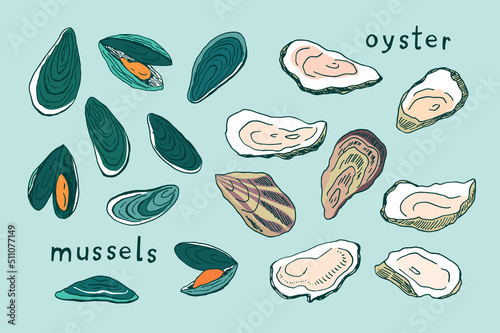 Oysters and mussels vector illustrations set