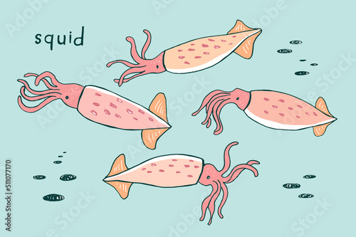 Squid sea animal vector illlustrations set