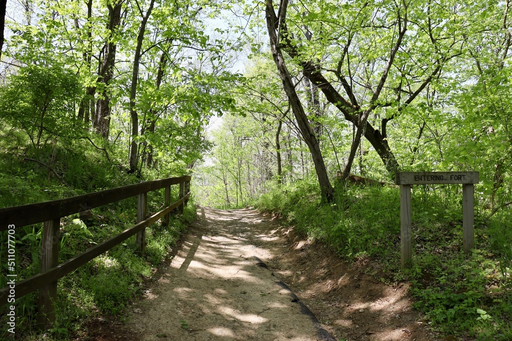 The trail up the slope in the forest on a sunny day. The trail up the slope in the forest on a sunny day.