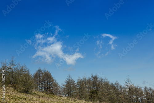 Wallpaper Mural 長野　車山高原　ハイキング Torontodigital.ca