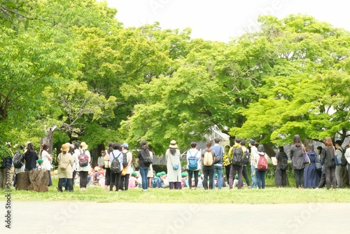 standing group in botanical park