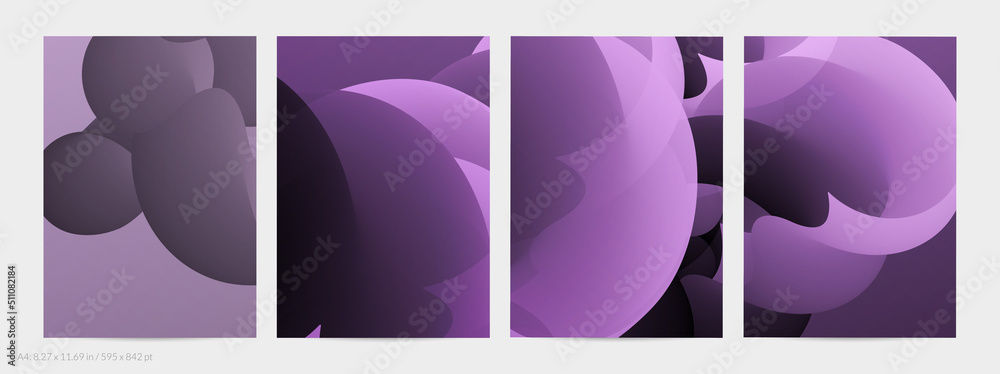 Fototapeta premium B25_0938