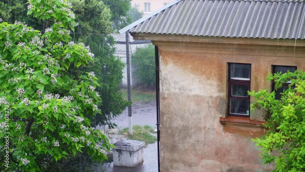 Shower. Heavy rain in the city. It's raining, house and blossoming tree in the background.