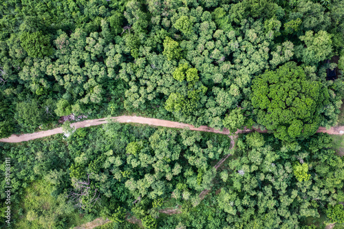Photo Aerial view of forestry green perennial tree in tropical rainforest