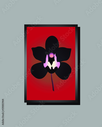Realistic black orchid frame on red background.