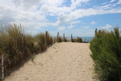 Dune de sable à l'océan sur l'île d'Oléron, littoral nature et sauvage de l'océan atlantique