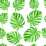 Watercolor seamless pattern with monstera palm leaves, tropical summer background.