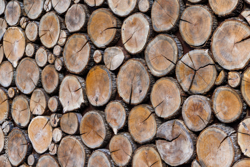Background of round dry wooden cuts