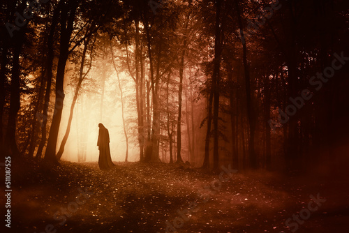 mysterious cloaked silhouette in dark forest © andreiuc88