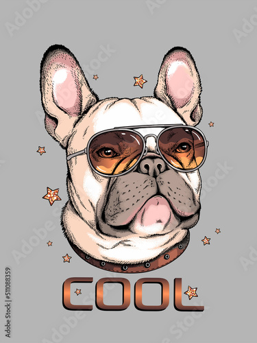 French bulldog in sunglasses. Vector illustration in hand-drawn style . Image for printing on any surface