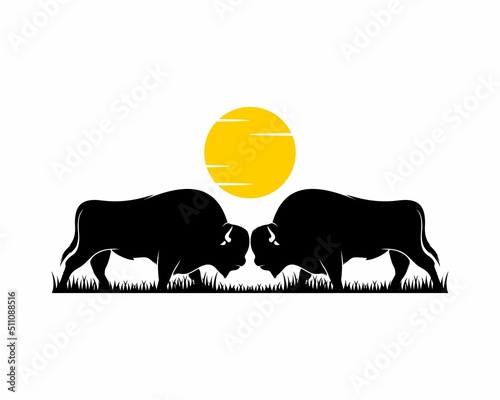 Bison head to head on the sunset logo