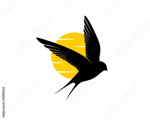 Flying swallow with sunset behind illustration