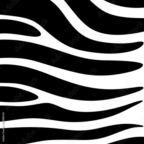 Curved stripes pattern. Animal fur ornate. Zebra skin ornament. Wildlife, natural texture. Wild animals motif image. Curves wallpaper. Digital paper, textile print, web design. Vector artwork photo