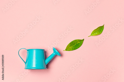 Blue watering can waters green leaves on a pink background. Summer concept.
