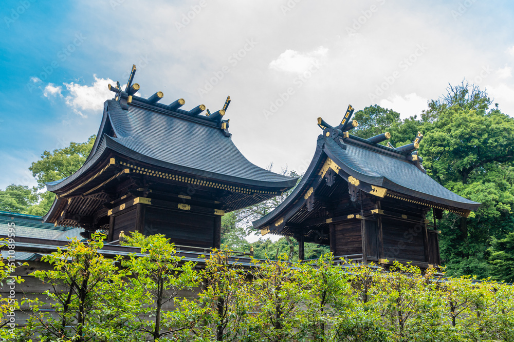 Obraz premium 埼玉県久喜市 鷲宮神社 聖地