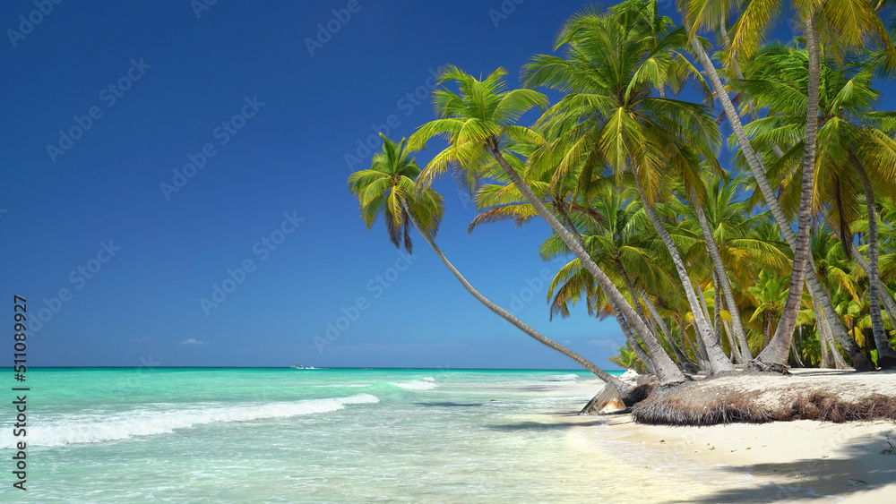 Palmenstrand im Urlaub