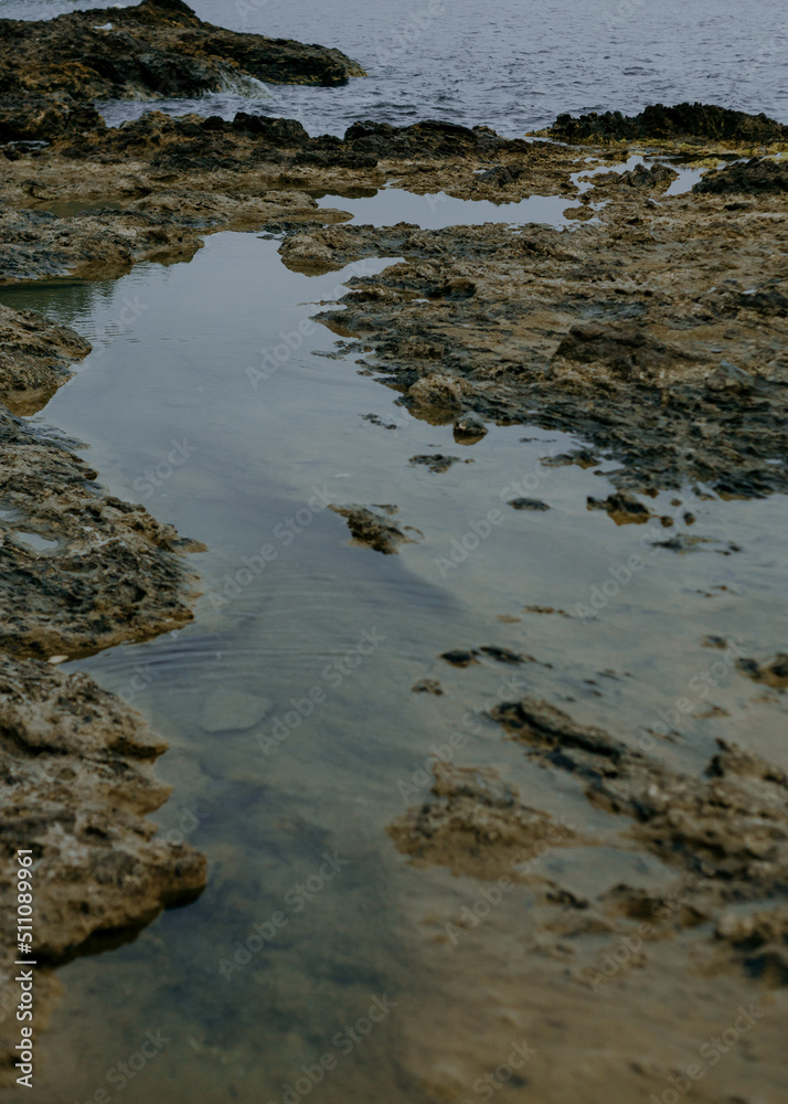 Fototapeta premium Emerald