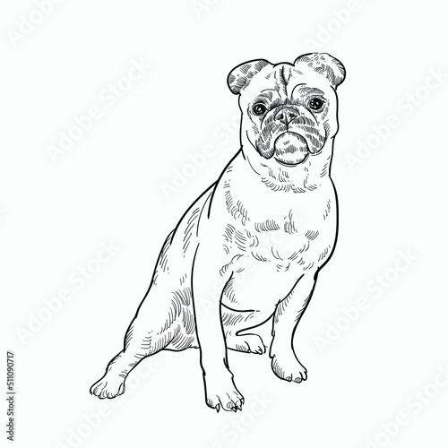 Vintage hand drawn sketch sit dog