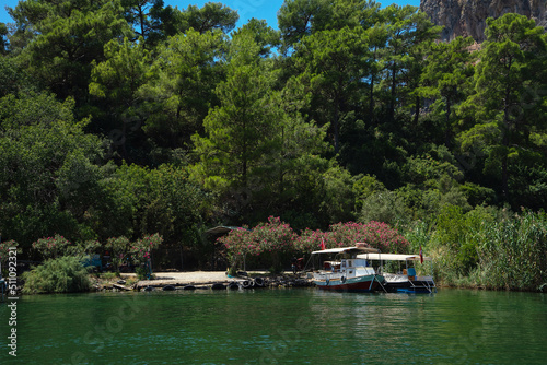 Pleasure ships under Turkish flags at the berths on the Dalyan River, Turkey against the background of trees and flowering bushes on a sunny summer day © Olga
