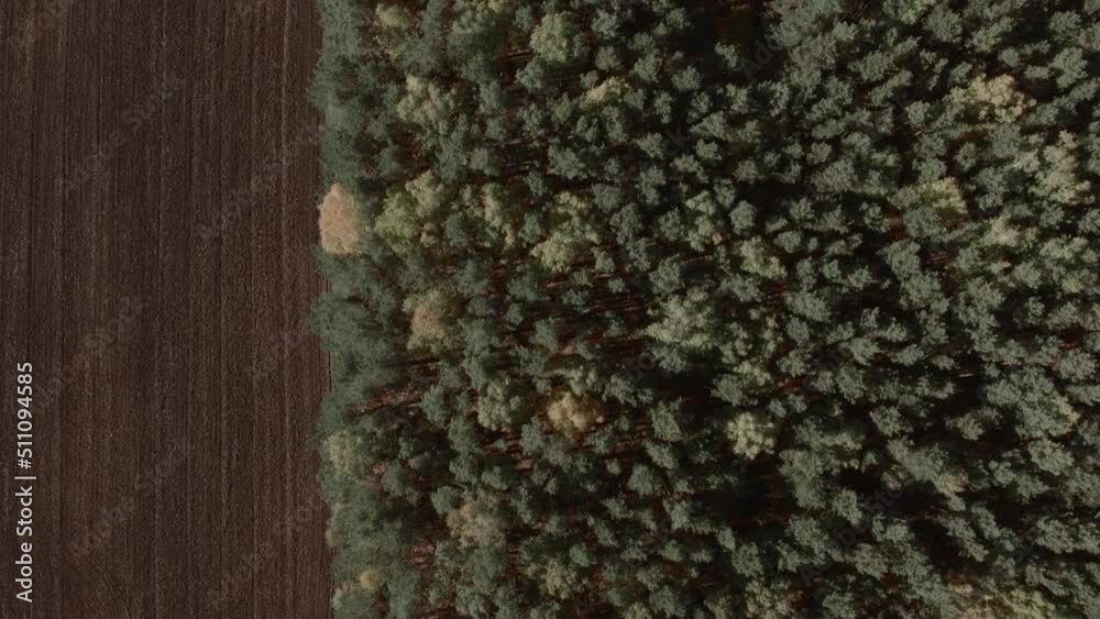Field and green forest in autumn time in Ural, Russia. Beautiful autumn nature landscape at during daytime. Aerial view from a drone Field and green forest in autumn time in Ural, Russia. Beautiful autumn nature landscape at during daytime. Aerial view from a drone