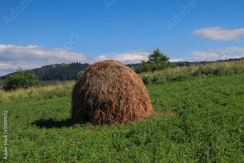 rural landscape with haystack on a meadow