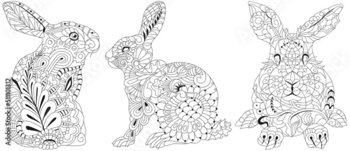 Set of images of rabbits for coloring