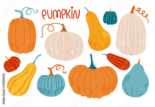 Pumpkin set flat design and vector illustration