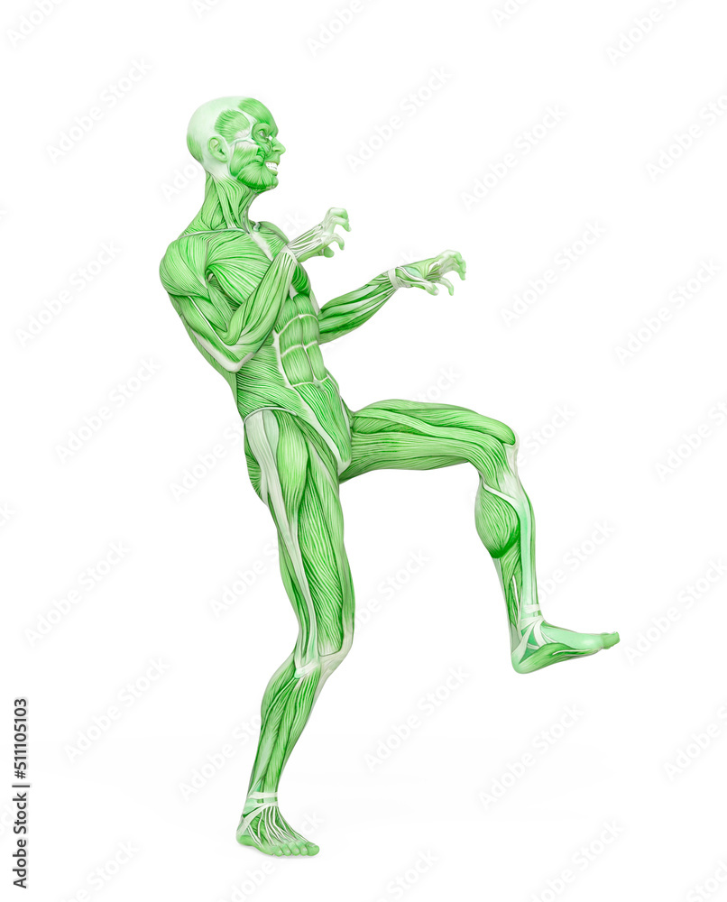 average man muscle maps is doing a halloween pose average man muscle maps is doing a halloween pose