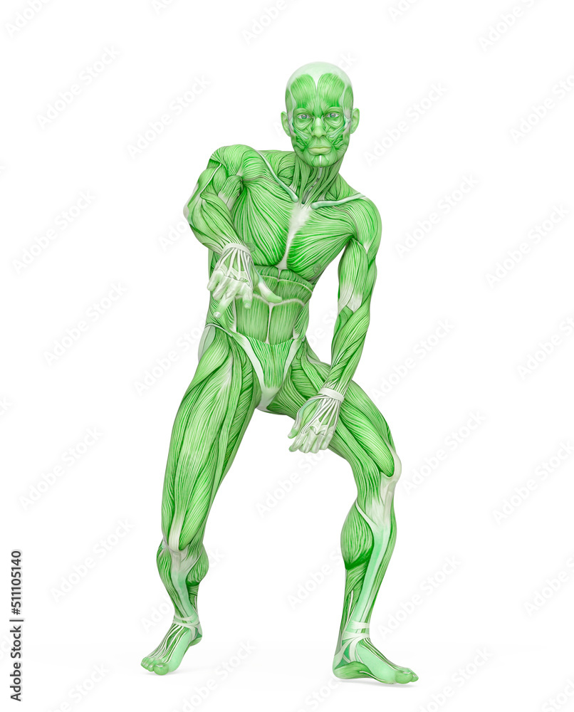 average man muscle maps is doing a hiphop pose average man muscle maps is doing a hiphop pose