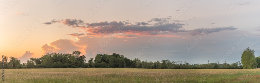 Large pink cloud at sunset over meadow in spring.