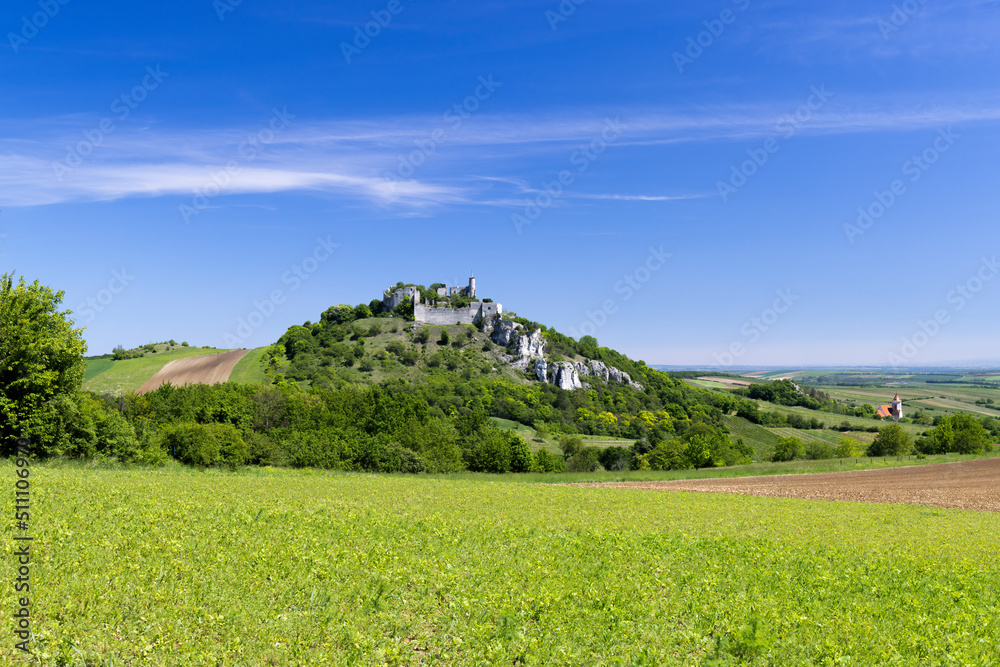 Obraz premium Falkenstein ruins and town with vineyard, Lower Austria, Austria