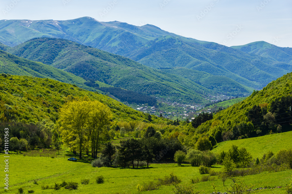 Scenic landscape with trees and forest, Vanadzor