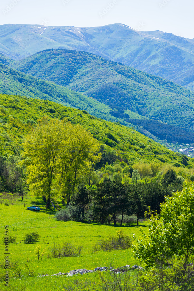 Obraz premium Scenic landscape with trees and forest, Vanadzor