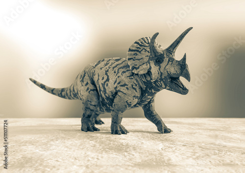 triceratops is alone on snow background