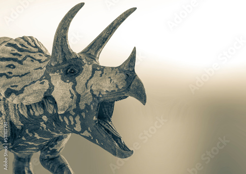 triceratops is angry on snow background with copy space