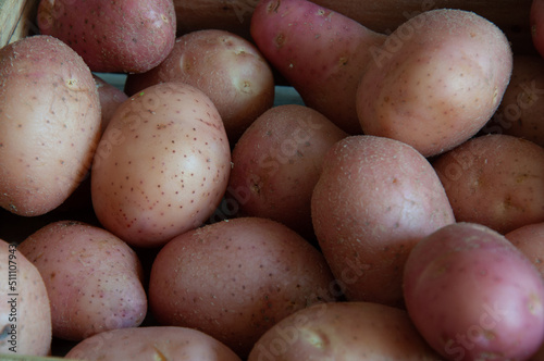 potatoes on the market