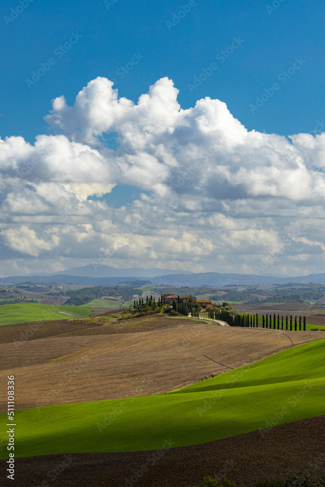 Fototapeta premium Typical Tuscan landscape near Siena, Tuscany, Italy