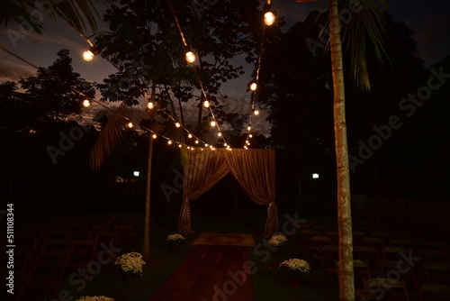 light tree at night