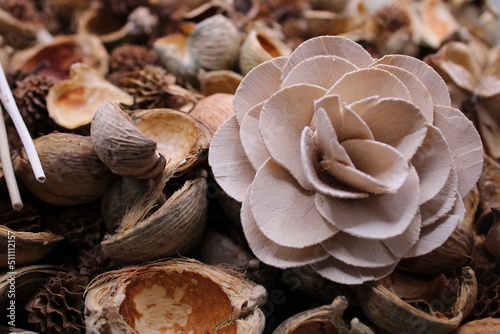 Sandalwood potpourri close up with a cream flower at front photo