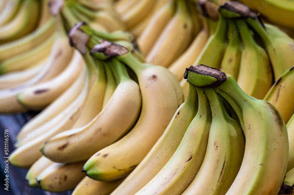 Ripe bananas ready to be sold at fruit market. Close-up.