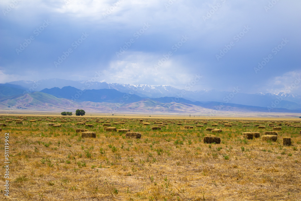 rectangular haystacks on a field against the background of mountains. harvested field. beautiful landscape