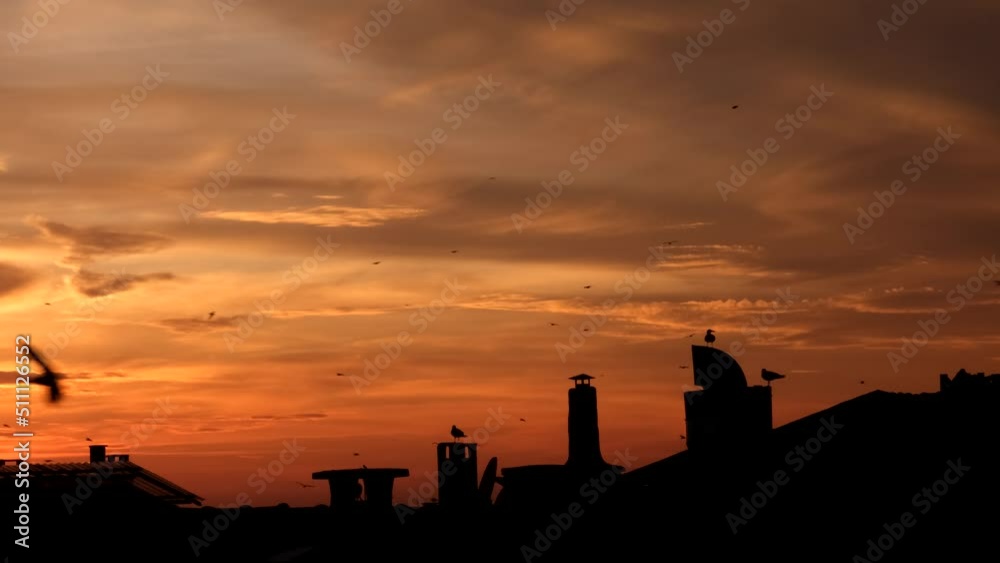 birds flying at sunset background birds flying at sunset background