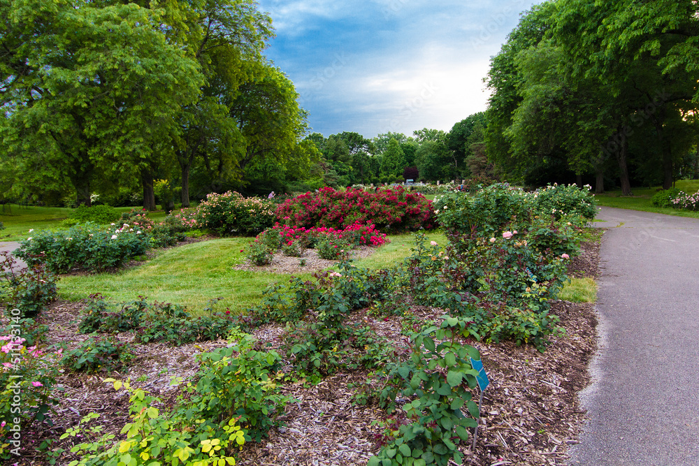Naklejka premium Park of Roses, Columbus, Ohio