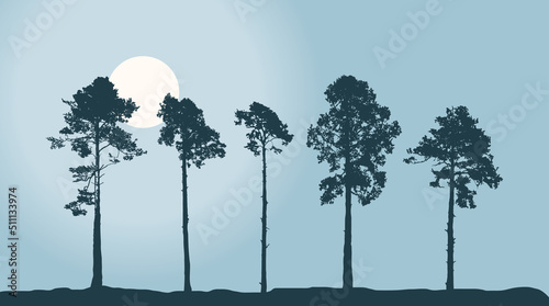Set of Realistic Tall Pines. Coniferous Trees. Forest Landscape. Twilight Park or forest plantation. Vector illustration 