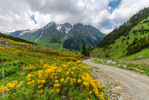 Elevit Plateau view in Rize Province of Turkey