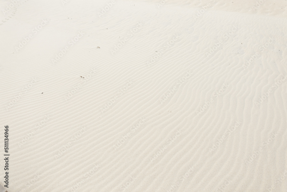 Obraz premium White sand texture on a beach by the ocean