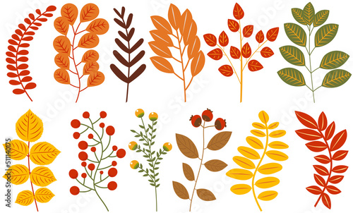 autumn flowers and leaves in flat design, isolated on white background