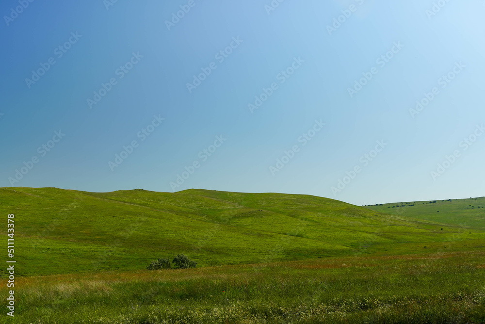 natural landscape with green grass field and blue sky with clouds with curved horizon line.