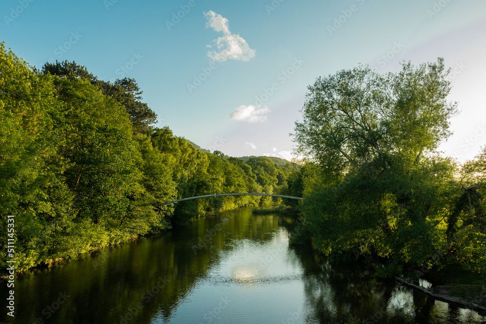 lake in the park