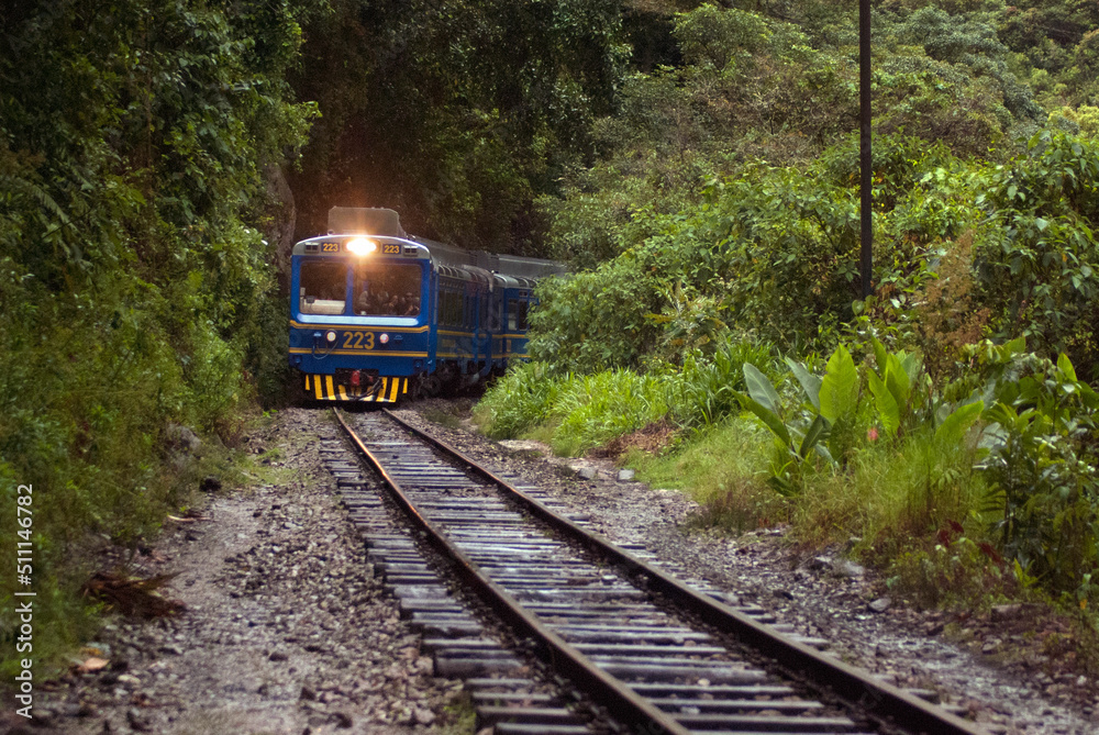 Naklejka premium Cusco train